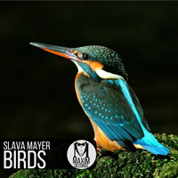 Slava Mayer - Birds