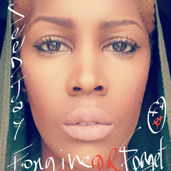 Seedjay - Forgive or Forget