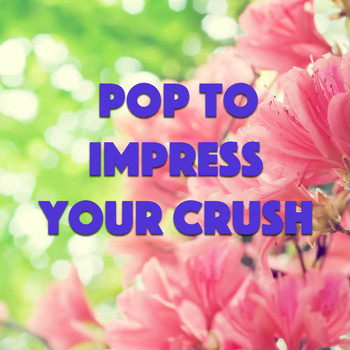 Various Artists - Pop To Impress Your Crush