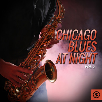 Various Artists - Chicago Blues at Night, Vol. 2