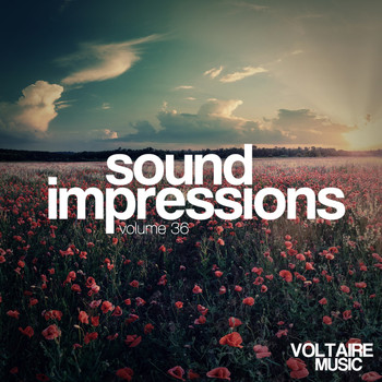 Various Artists - Sound Impressions, Vol. 36