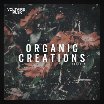 Various Artists - Organic Creations Issue 2