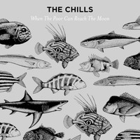 The Chills - When the Poor Can Reach the Moon