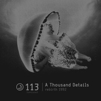 A Thousand Details - Rebirth 1992