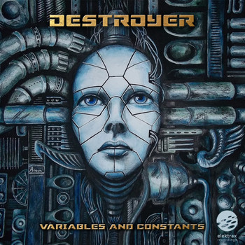 Destroyer - Variables & Constants