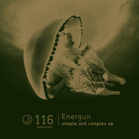 Energun - Simple & Complex Ep