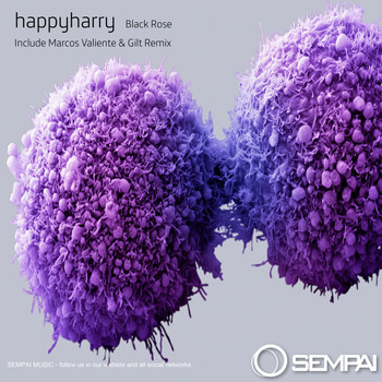 happyharry - Black Rose
