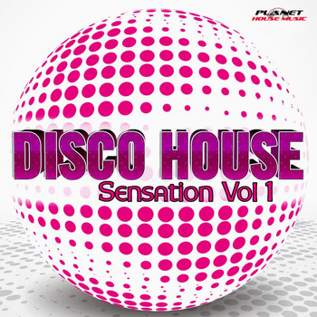 Various Artists - Disco House Sensation, Vol. 1