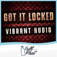 Vibrant Audio - Got It Locked