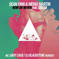 Mekki Martin, Sean Finn feat. Quilla - Now or Never