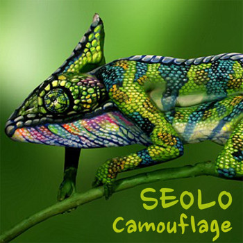 Seolo - Camouflage