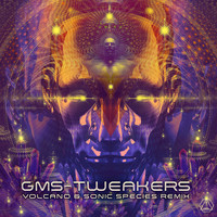 GMS - Tweakers (Volcano & Sonic Species Remix)