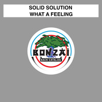 Solid Solution - What A Feeling