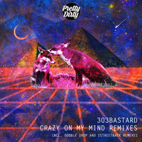 303bastard - Crazy On My Mind: Remixes