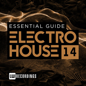 Various Artists - Essential Guide: Electro House, Vol. 14