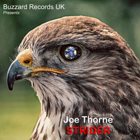 Joe Thorne - Strider