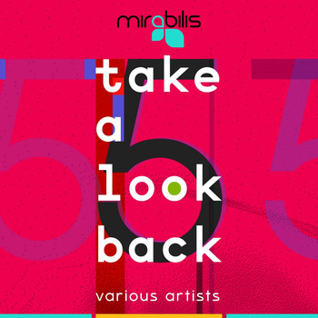 Various Artists - Take a Look Back Vol. 5