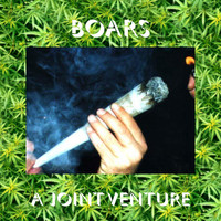 Boars - A Joint Venture