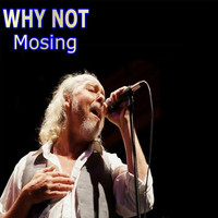 Why Not - Mosing