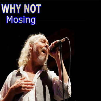 Why Not - Mosing