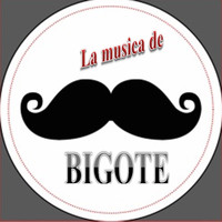 Bigote - La Musica De