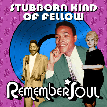 Various Artists - Stubborn Kind of Fellow (Remember Soul)