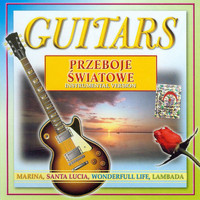 Tom Petty - Guitars