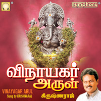Krishnaraj - Vinayagar Arul