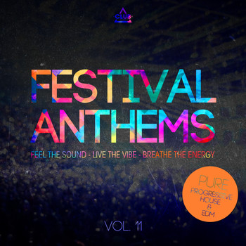 Various Artists - Festival Anthems, Vol. 11
