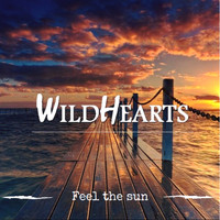 Wildhearts - Feel the Sun