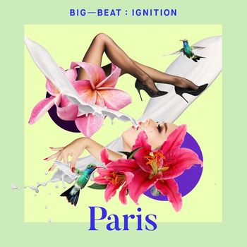Various Artists - Big Beat Ignition: Paris