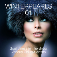 Alessandro Garofani - Winterpearls, Vol. 1 - Soulfulness in the Snow - Various Chillout Artists