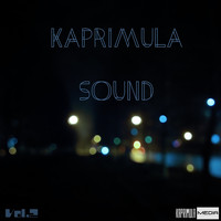 Kaprimula Sound - Vol. 2