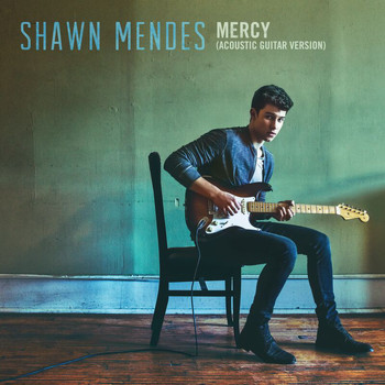 Shawn Mendes - Mercy (Acoustic Guitar)