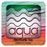 TechTonic Tay - Espial of Deep