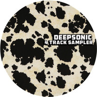 Deepsonic - 4 Track Sampler