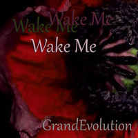 GrandEvolution - Wake Me