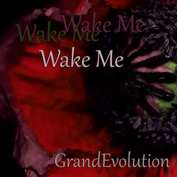 GrandEvolution - Wake Me