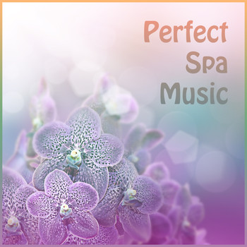 Body and Soul Music Zone - Perfect Spa Music – Massage Therapy, Deep Rest, Soothing Spa, Music for Relaxation, Soothing Melodies, Calm Soul