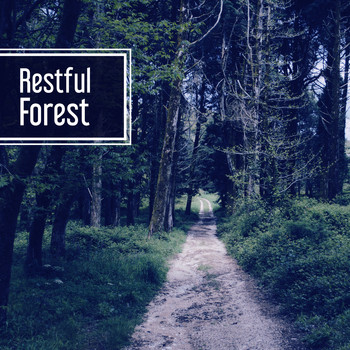 Nature Sounds - Restful Forest – Nature Sounds for Relaxation, Singing Birds, Rest with Nature, Peaceful Mind, Calmness