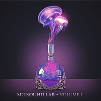 The & The String Cheese Incident - SCI Sound Lab, Vol. I