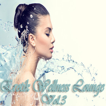 Various Artists - Erotik Wellness Lounge, Vol. 3 (Tantra Chill Out and Kamasutra Ambient)