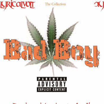 The Collection - Bad Boy