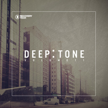 Various Artists - DeepTone, Vol. 11