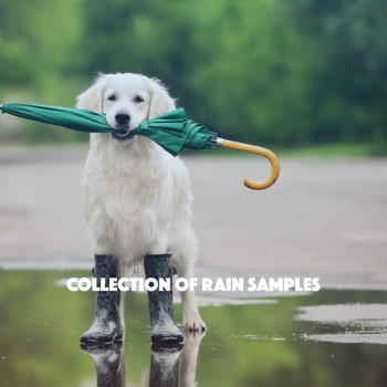 Rain Sounds Nature Collection, Rain Sounds Sleep and Ocean Sounds Collection - Collection of Rain Samples