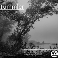 Tummler - So High