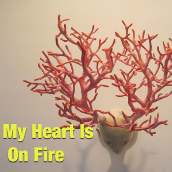 Various Artists - My Heart Is On Fire