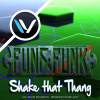 Fun & Funk - Shake That Thang