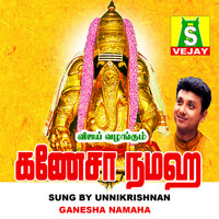 Unnikrishnan - Ganesha Namaha