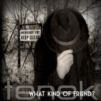 Tenek - What Kind of Friend?